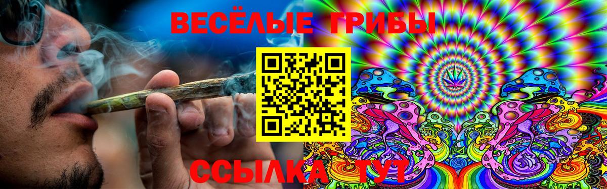 Галлюциногенные грибы Psilocybine cubensis Ирбит