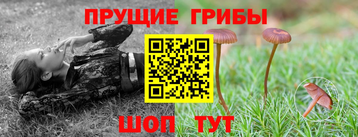 Ирбит  Псилоцибиновые грибы мицелий  Вход с VPN 
